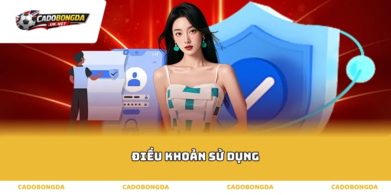 điều khoản sử dụng