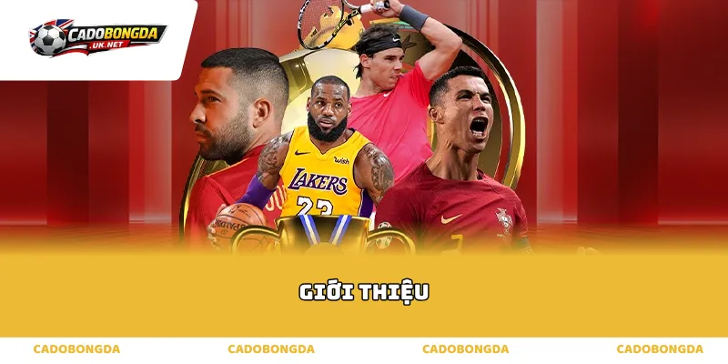 Giới thiệu trang cá độ bóng đá uy tín