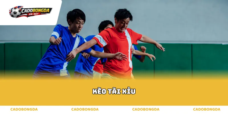 kèo tài xỉu